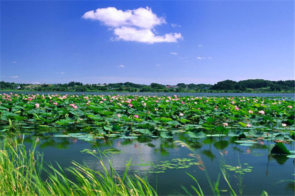中山十大公园广场排名：中山公园上榜，