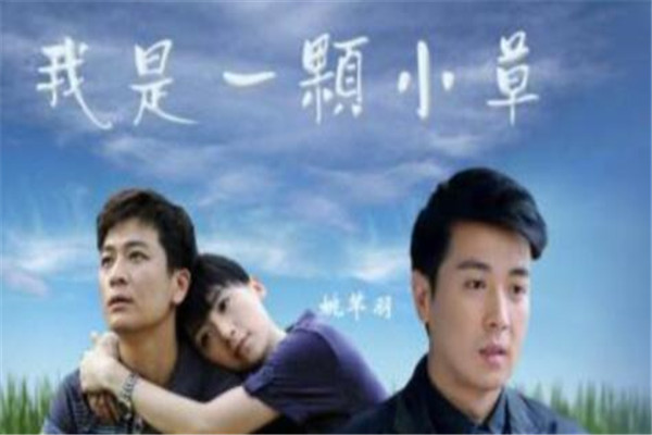 好看的催泪电视剧排行榜 《继父》上榜，第一能让你哭成泪人