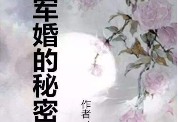 男主是军人的现言小说：军婚撩人排名第二，第一你看了吗