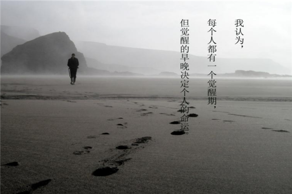 中国最佳文学作品
