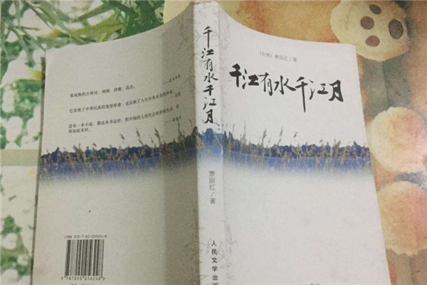 冷门文学作品