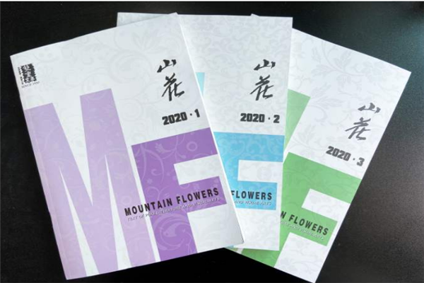 中国纯文学十大刊物