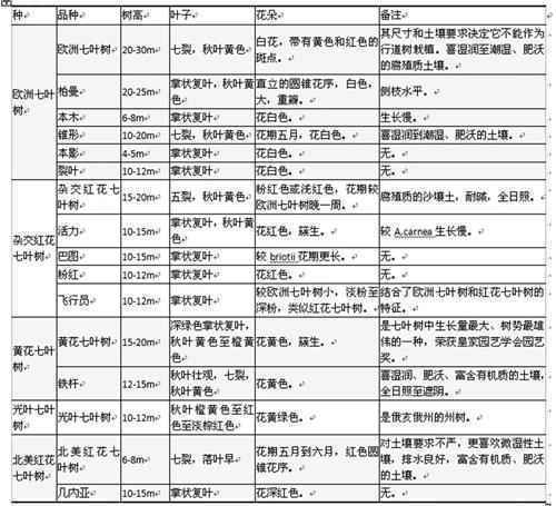 国外常见七叶树品种汇总