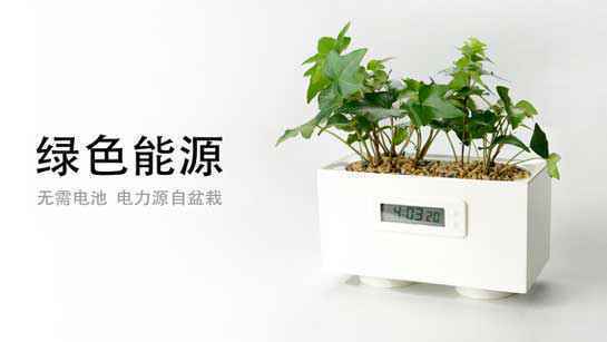 科技创新种植项目—微花园